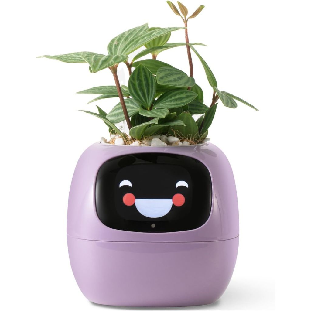 Ivy Smart Plant Pot